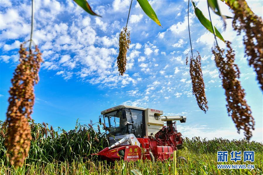 (新华全媒头条·图文互动)(17)奋斗结硕果,再写新篇章——写在共和国71周年华诞之际 (新华全媒头条·图文互动)(17)奋斗结硕果,再写新篇章——写在共和国71周年华诞之际